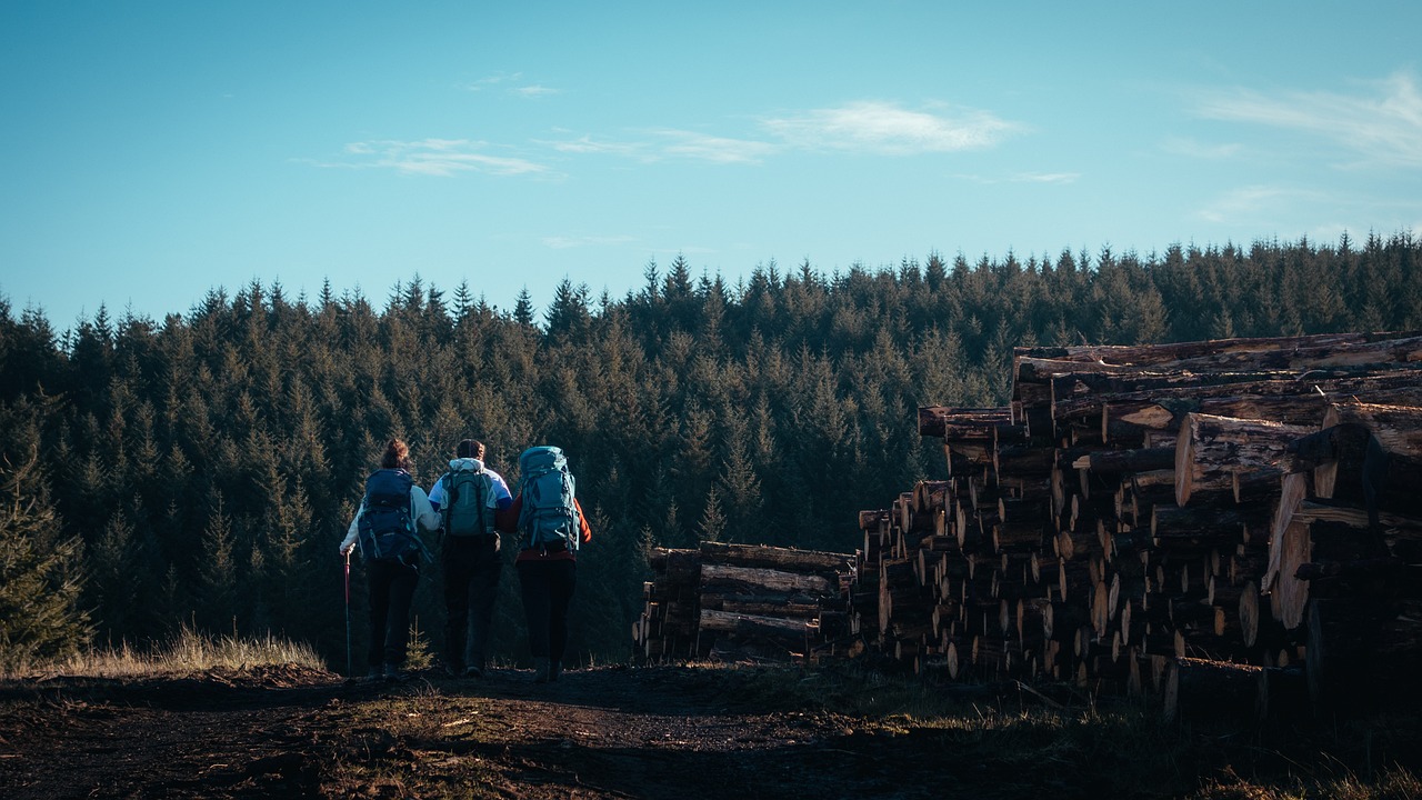 The Link Between Deforestation and Pandemics